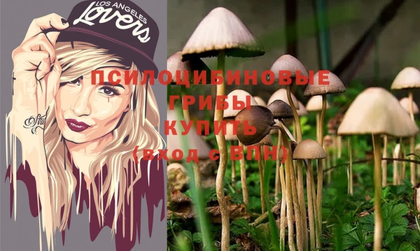 крисы Сафоново